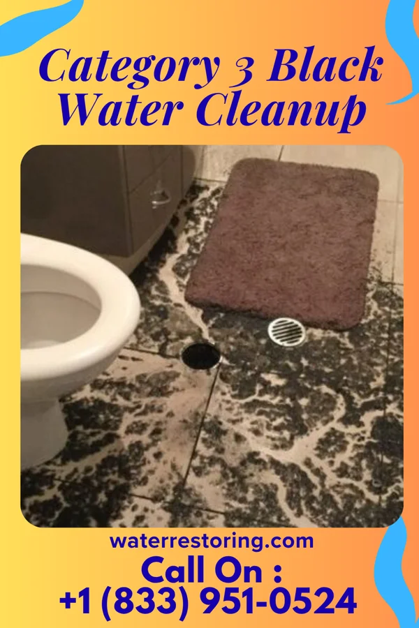 Category 3 Black Water Cleanup in Devon, KS