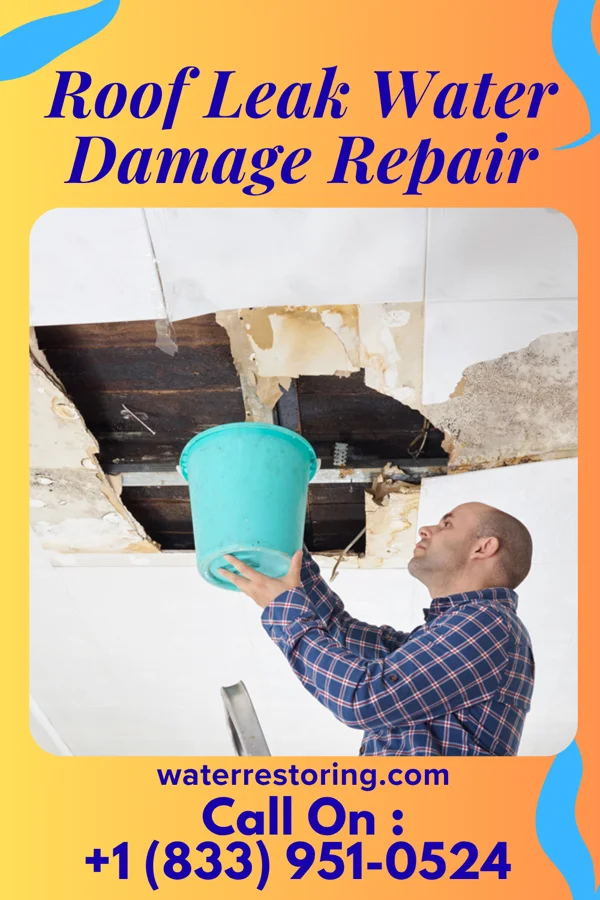 Roof Leak Water Damage Repair in Devon, KS